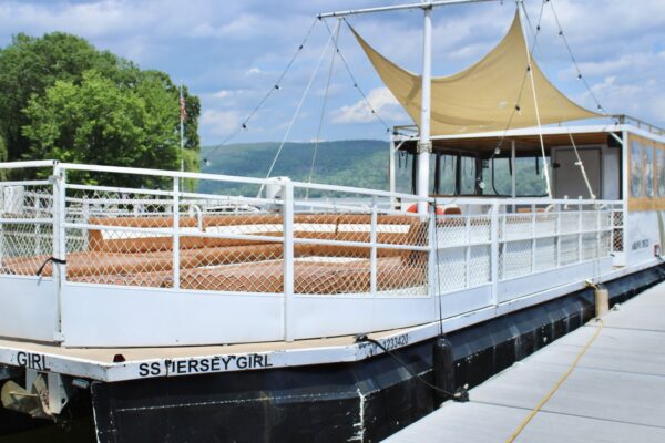 Above Deck - 50ft pontoon boat yacht